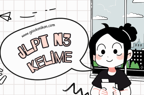 N3 KELİME